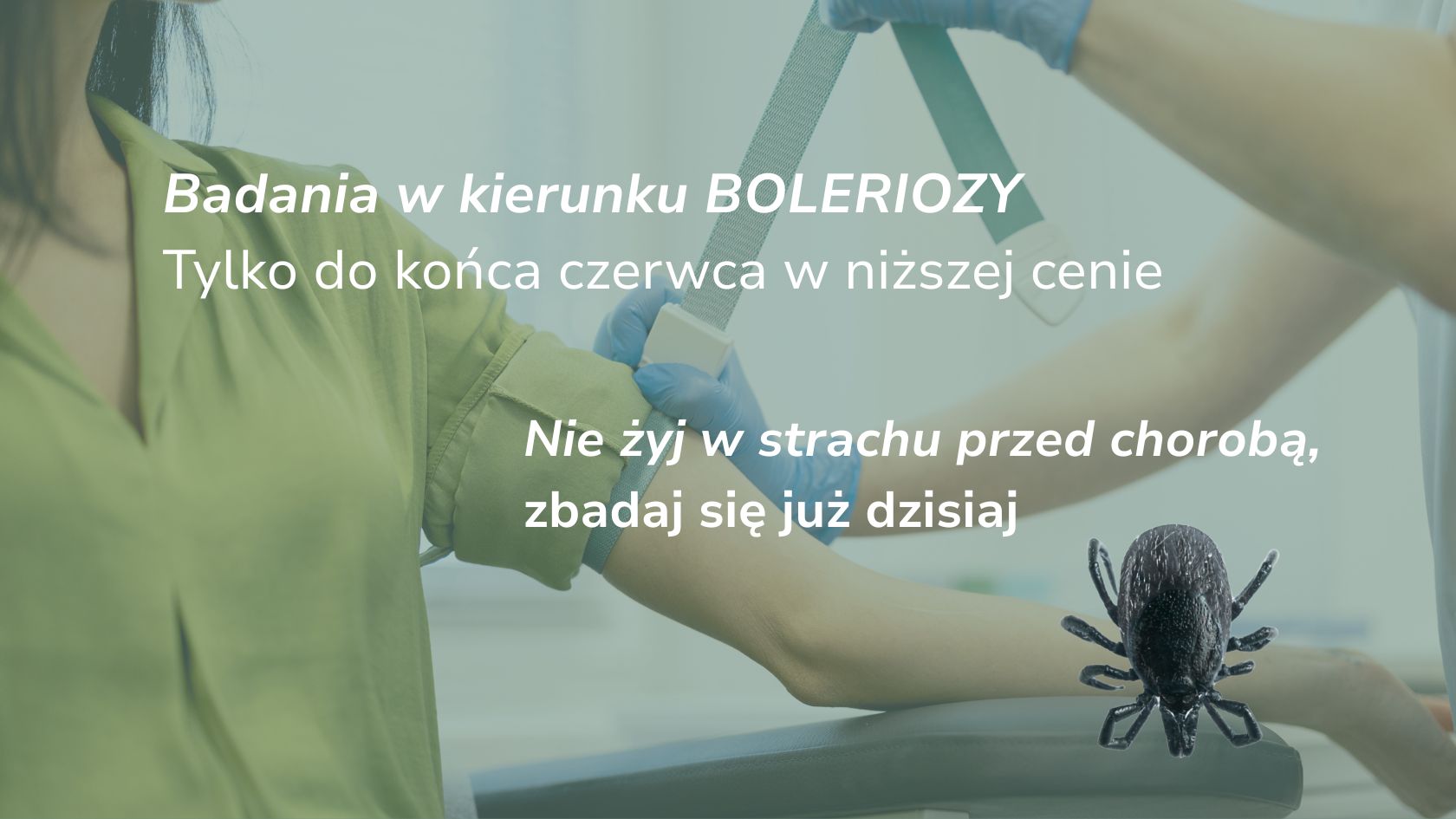 badania na boreliozę